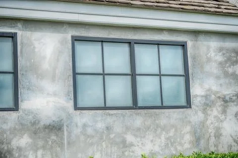 One window on the old brick wall covered with green leaves ivy plant Stock Photos