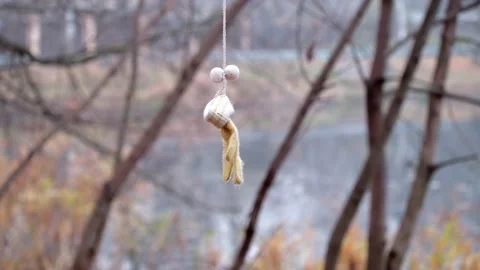 One woolen mitten with pumpons sways against a blurred background Video stock 167253490