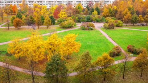 One year in 17 seconds. The alternation of seasons. Stock Footage 98428309