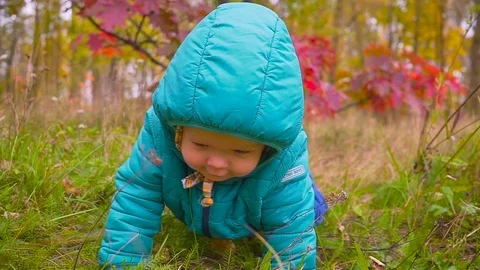 One year old boy crawls along the autumn park. gimbal 스톡 동영상 80899610