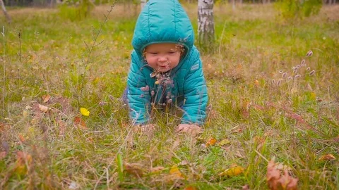 One year old boy crawls along the autumn park Stock Footage 80911995