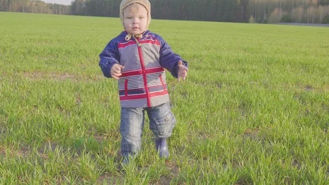 One year old boy goes in the field with young wheat Stock Footage 88936382