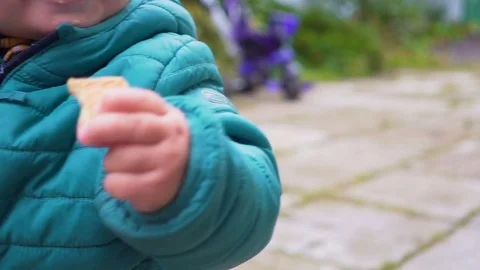 One year old boy playing outdoors at autumn day. Stock Footage 81312982