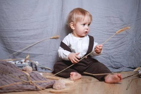 One-year-old boy in a rustic style with a spikelet of wheat Stock Photos