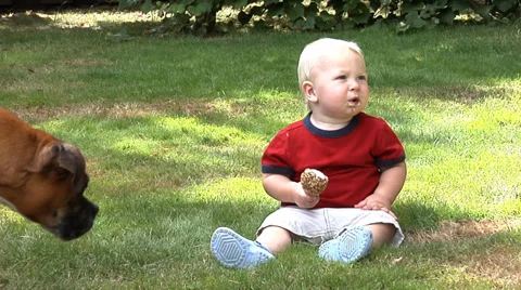 One year old boy sharing ice cream with dog Stock Footage
