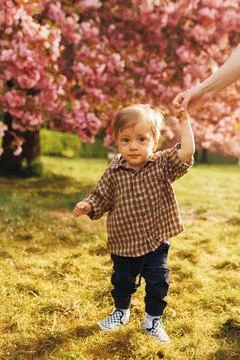 One-year-old boy smiling at the camera in a blooming cherry blossom garden Stock Photos