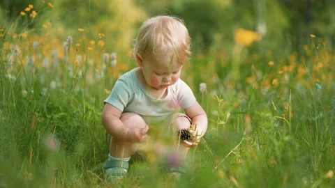 One year old child studying forest flora. The concept of education and curios Video stock 135366011