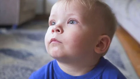 One year old child watching TV - dolly shot. Little boy watching cartoon on tv Видео 84025440