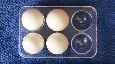 One yellow among white eggs in a box Vídeos de archivo 76995316