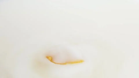 One yellow gold cornflake cerealfalling into milk slow motion Video stock 150973260