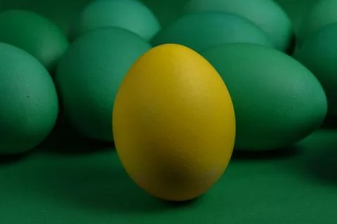 One yellow painted Easter egg stands in front of green eggs on a green Stock Photos