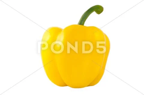 One yellow pepper Stock Photos