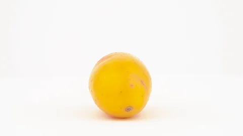 One yellow ulluco tuber. Rotating on the turntable. Isolated on the white Stock Footage 98400820
