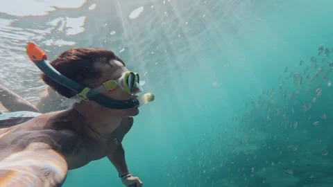 One young beautiful active man swimming and enjoying vacations outdoor in the se Stock Footage 249692660