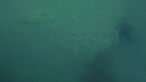 One young happy man jumping off from a cliff to the water doing a back flip h 動画素材 221877203
