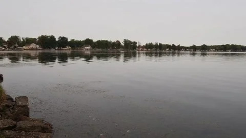Oneida Lake with geese Stock Footage 140017576
