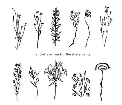 Oneline vector floral set hand drawn illustration Stock Illustration