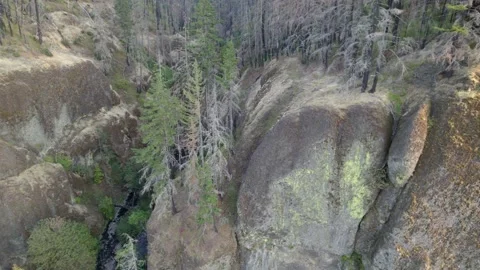 Oneonta Gorge 2017 Fire Damage Stock Footage 226416184