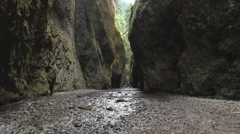 Oneonta Gorge Oregon Scenic Stock Footage 65257535