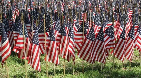 OneThousand Flags 6 Stock Footage 23620539