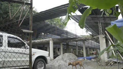 Ongoing construction of a poultry building in Bulacan, Philippines Stock Footage 229752046