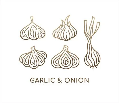 Onion and garlic linear set icons. Logo vegan food. Ripe root. Spices sliced  Stock Illustration
