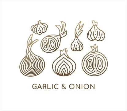 Onion and garlic linear set icons. Logo vegan food. Ripe root. Spices slice.. Stock Illustration
