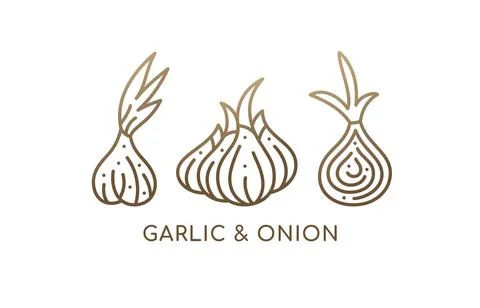 Onion and garlic. Linear set icons. Logo vegan food. Ripe root. Spices sliced Stock Illustration