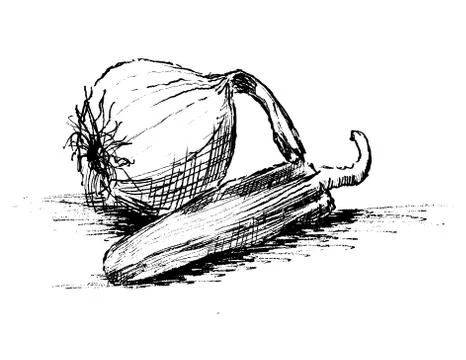 Onion and Pepper Stock Illustration
