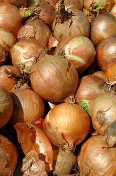 Onion background Stock Photos