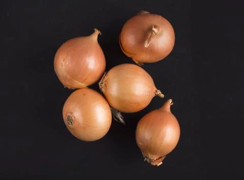 Onion on black background Stock Photos