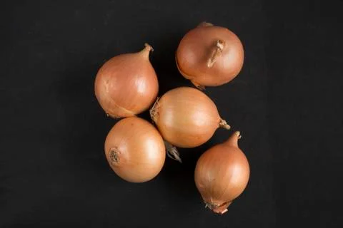 Onion on black background Stock Photos