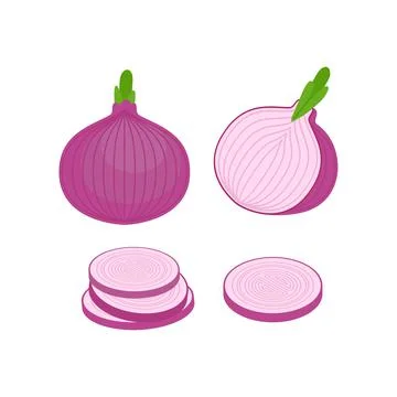 Onion Bulb and slice set. Vegetable vector illustration Stock Illustration