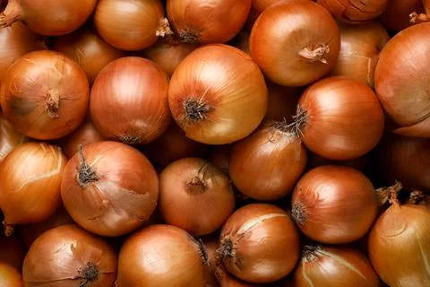 Onion bulb background. Top view Stock Photos