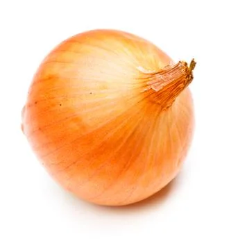 Onion bulb Stock Photos