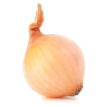 Onion bulb Stock Photos