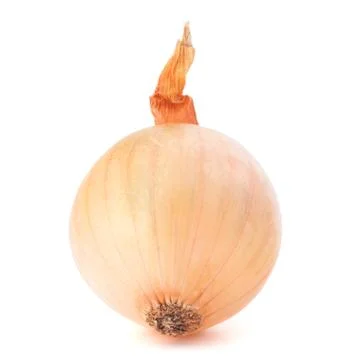 Onion bulb Stock Photos