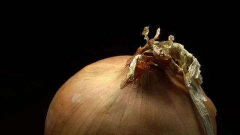 Onion bulb in rotation Video stock 82689321