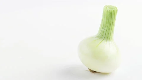 Onion bulb spinning on white background, loopable Vídeo Stock 203036873