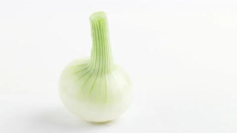 Onion bulb spinning on white background, loopable Vídeo Stock 203221055