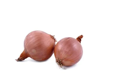 Onion bulbs 写真素材