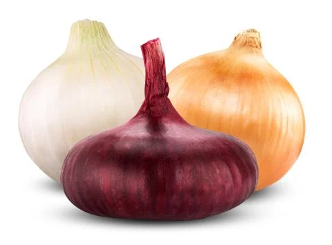 Onion bulbs Stock Photos
