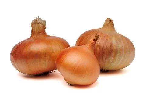 Onion bulbs Stock Photos