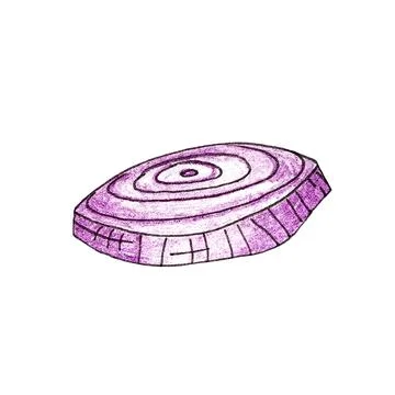 Onion burger elements, hamburger hand drawn illustration sketch retro style, Stock Illustration