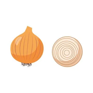 Onion cartoon vector. free space for text. wallpaper. symbol. Stock Illustration