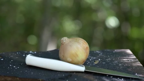 Onion chopped on a board in the forest Stock Footage 160863538