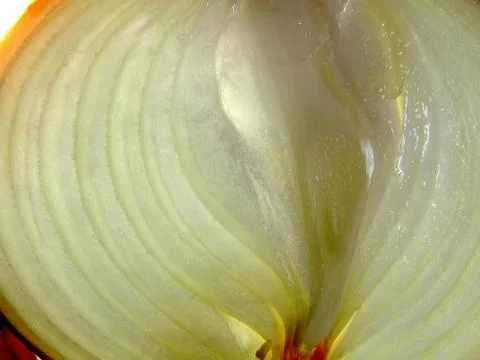 Onion close up Stock Photos