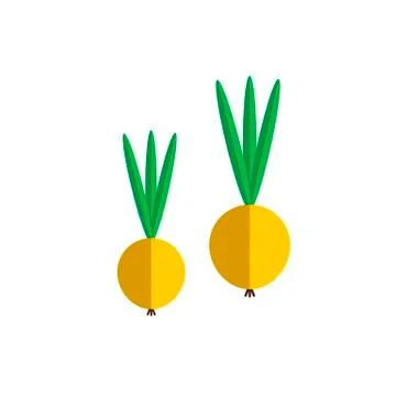 Onion color icon flat vector vegetable Stock Illustration