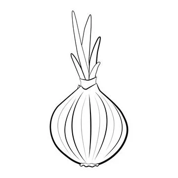 Onion coloring book Stock Illustration