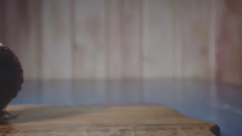 Onion on cutting board Stock Footage 73816264